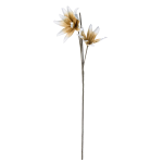 RAMO HEMEROCALLIS CON 2 FIORI GIALLO H113