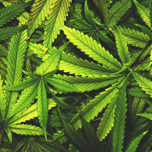 PASSATOIA PER CUCINA CON STAMPA DIGITALE DIS. 40