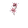 Fiori