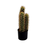 CACTUS DECORATIVO IN VASO NERO: STILE MODERNO E NATURALE PER OGNI AMBIENTE