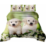 COMPLETO LENZUOLA MATRIMONIALE SPRING DOG