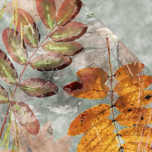 PARURE COPRIPIUMINO MATRIMONIALE BLUMY FOLHA